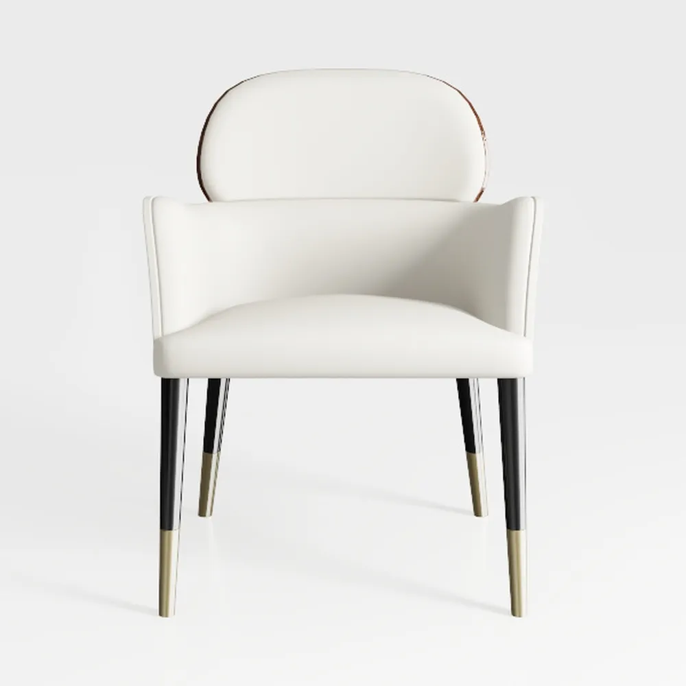 Modern Leisure Velvet Dining Chairs Set of 2