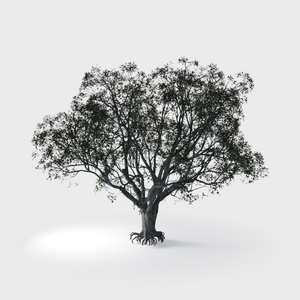 Open-air Cafe-plants 27.max