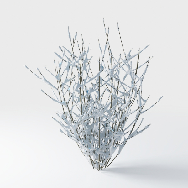 Dry Tree with Snow - Outdoor Plant