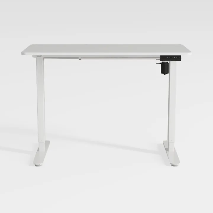 FLEXISPOT EN1 Whole-Piece Standing Desk 48 x 30
