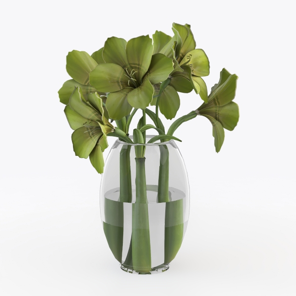 American Plant Exchange Neon Pothos – Live 6-Inch