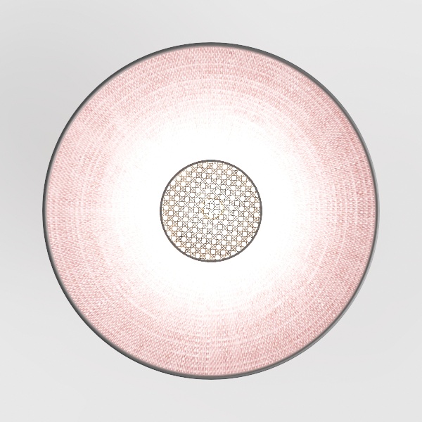 wall lamp-Pink Passion
