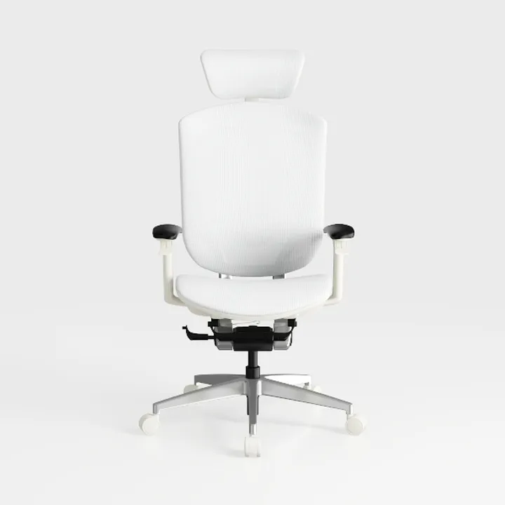 Office Chair,E-Sports Game Home Live Broadcast Erg