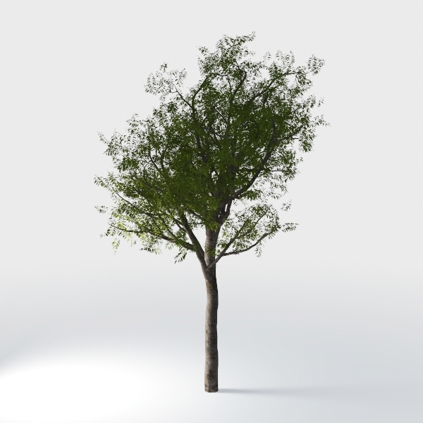 26.6” Artificial Cypress Topiary, 2 Pack Lifelike 