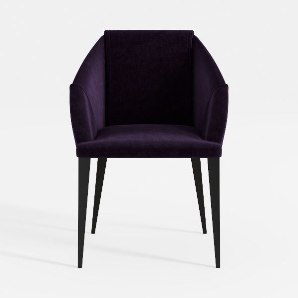 Modern Velvet Dining Chairs Set of 2, Dining Room