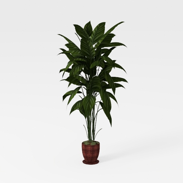 plant_57