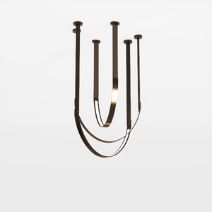 ceiling lamp-Minimalist Elegance