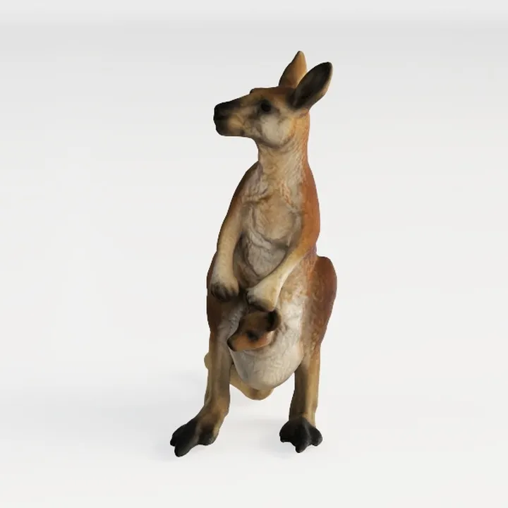 kangaroo-Australia Day