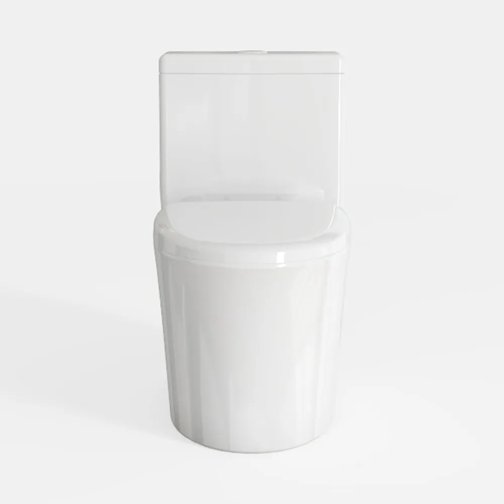 DeerValley Elongated One Piece Toilet for