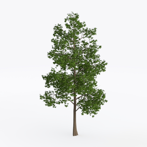 tree-Landscape Greenery