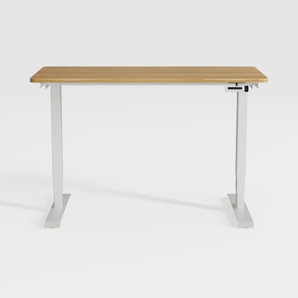 FLEXISPOT EN1 One-Piece Standing Desk 40 x 24