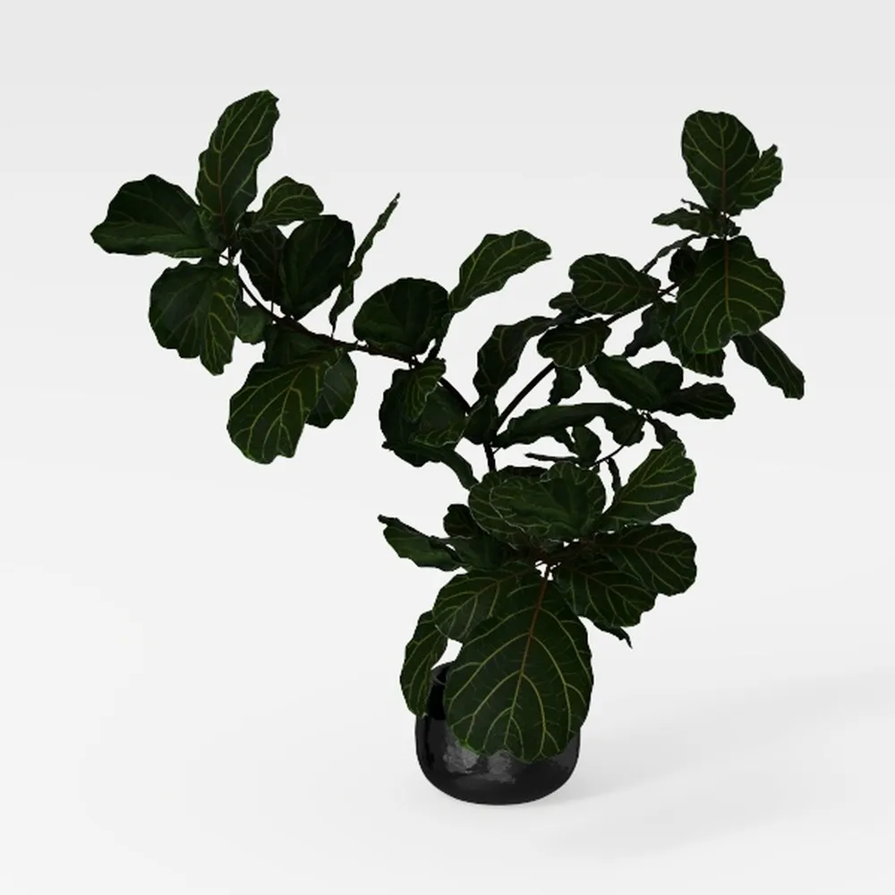 Live Pothos Plants (4PK) Indoor Plants Live 