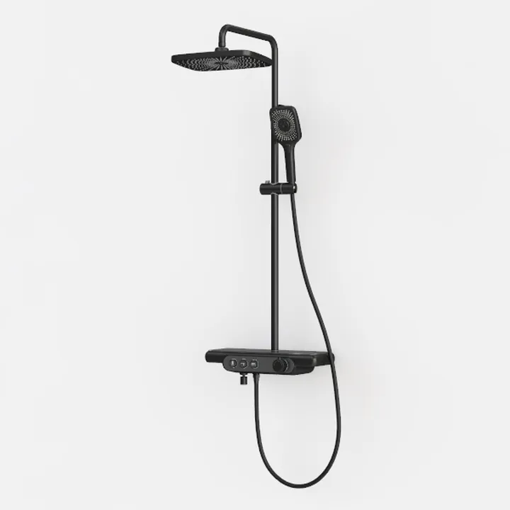 Black Metal Dual Spray Wall Mounted Shower System 3D Model