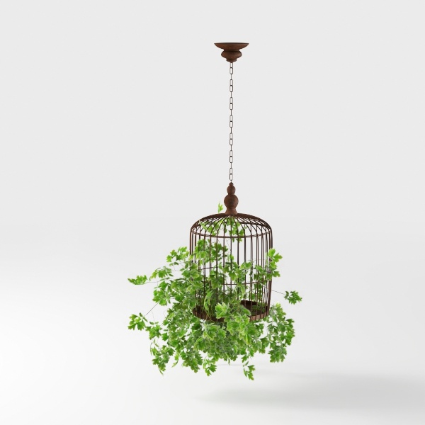 Oriental Garden-plant 6.max