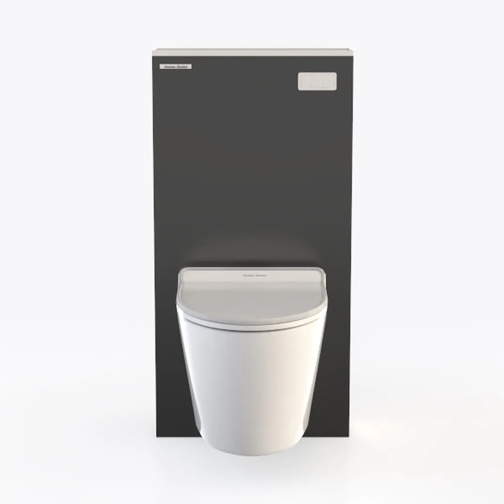 Aqueous In-Wall Smart Toilet Combo Set – Complete 