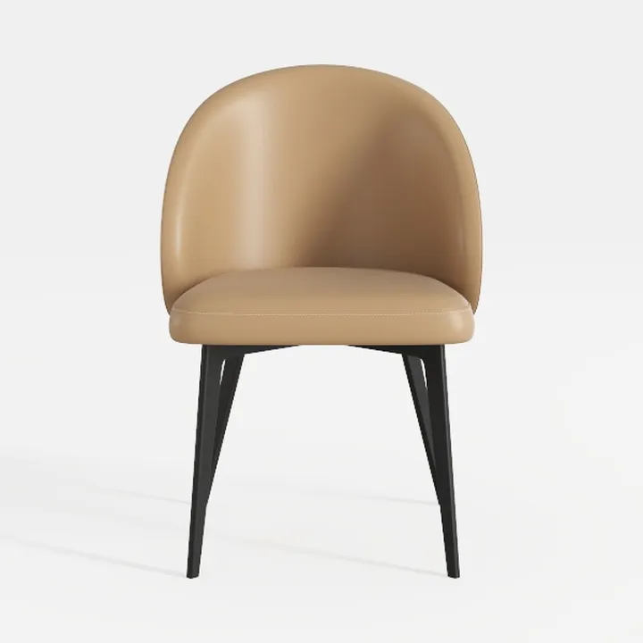 Jerliflyer Lazy Chairs with Metal Legs, Modern Lei