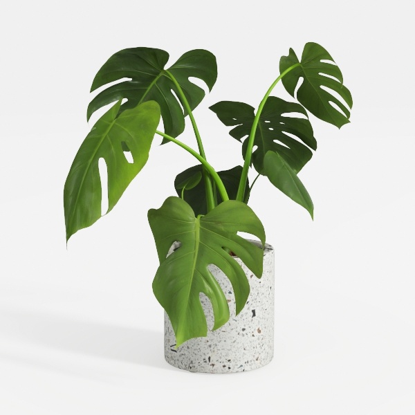 Der Rose 28&#39;&#39; Fake Plants Large Artificial Plants