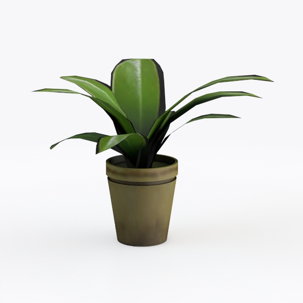 Plant