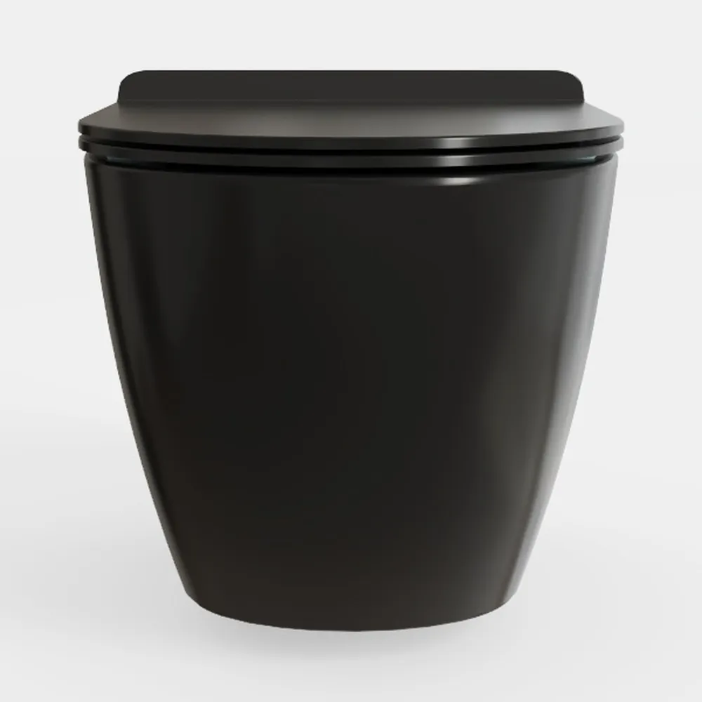 Black Smart Toilet with Bidet Built in, Dual Auto