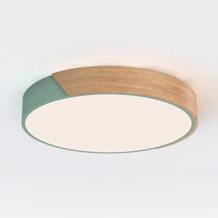 Led Ceiling Light with Remote Flush Mount Light