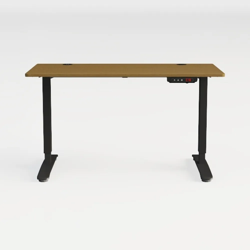 Electric Standing Desk, Adjustable Height Stand up