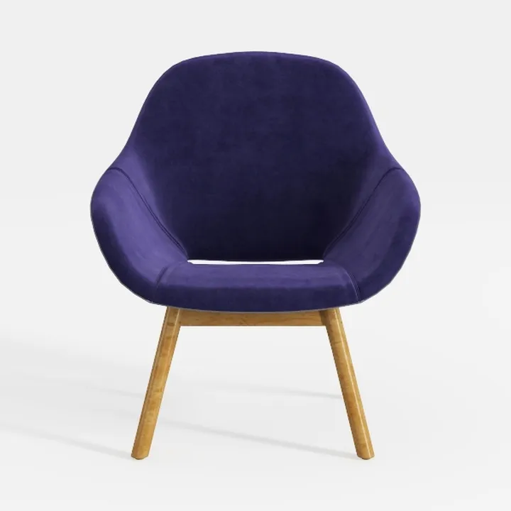 Soft Velvet Dining Chair,Modern Simplicity