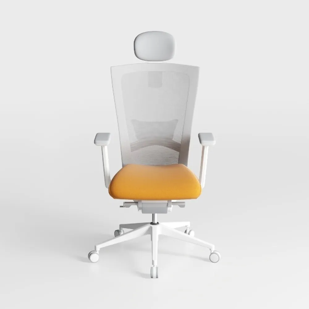 Mimoglad Office Chair, High Back Ergonomic Desk