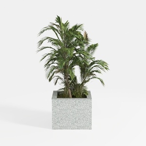 greenery-Outdoor Odyssey