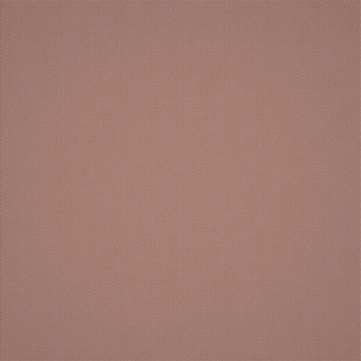 Wall-to-wall Carpet 29