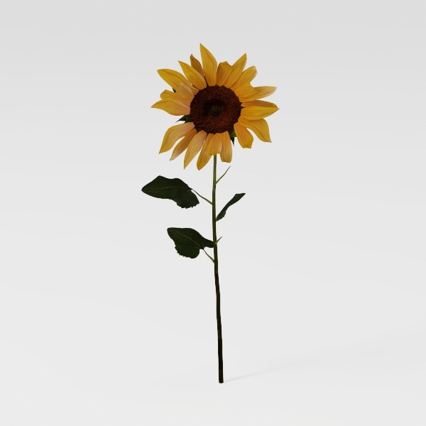 flower-Fluttering Blooms