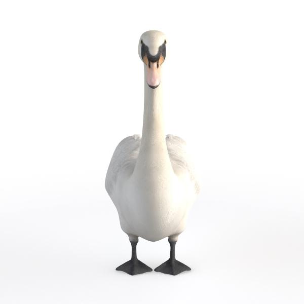 Goose