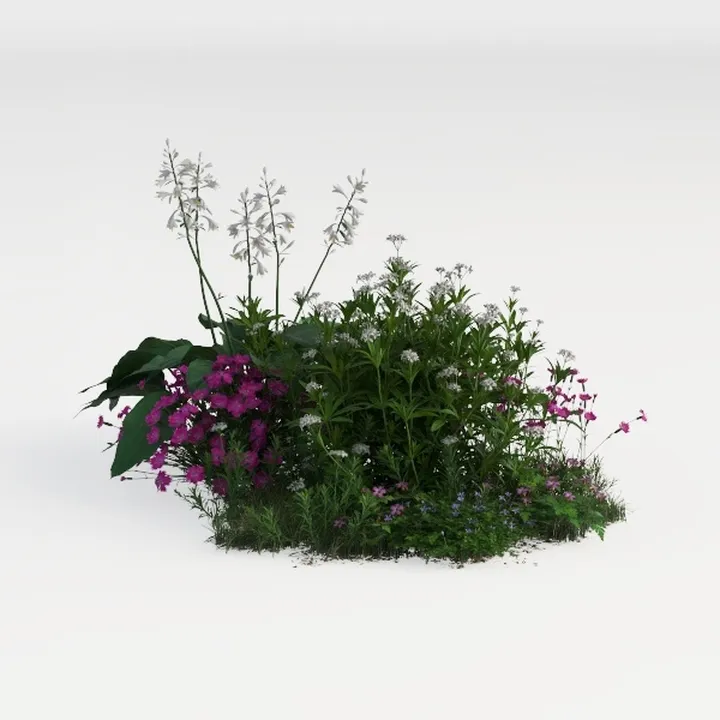 perennial border-Cozy Garden