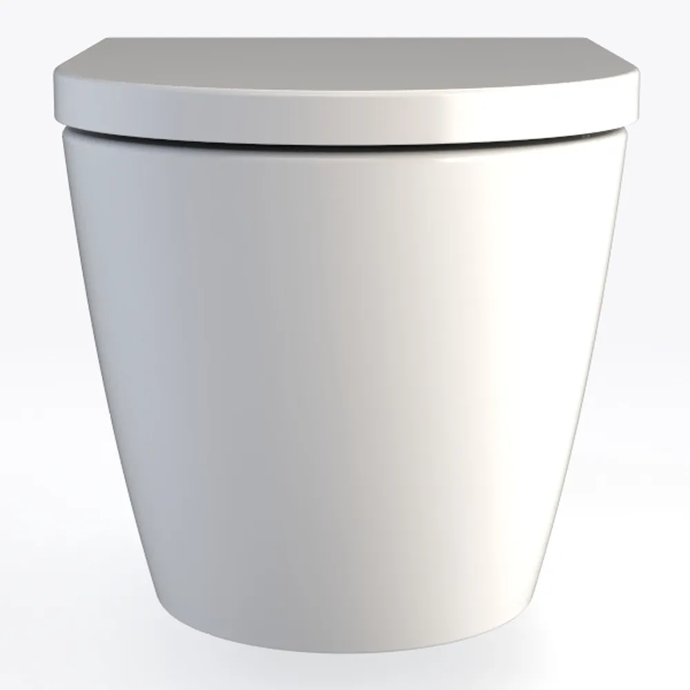 WOODBRIDGE Smart Bidet Toilet, Auto Open & Close