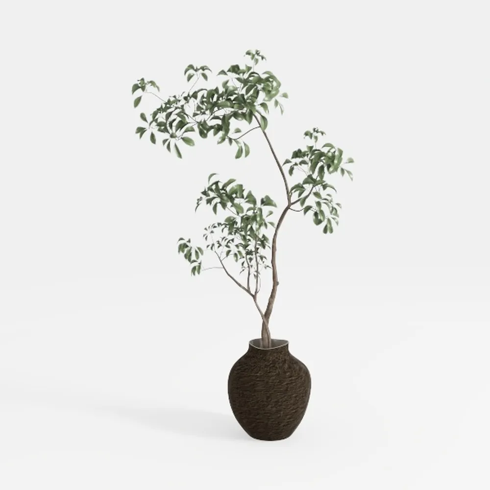 Ceramic Vase, 5.8 Inch Terracotta Vase with