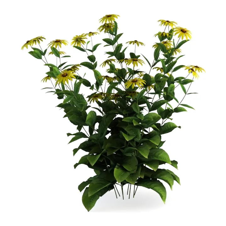 American Plant Exchange Golden Pothos Totem Pole 
