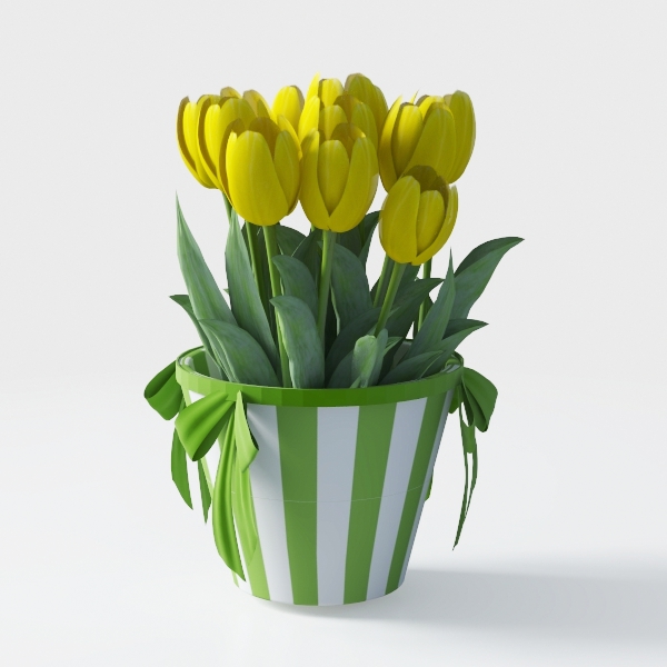 American Plant Exchange Neon Pothos – Live 6-Inch 