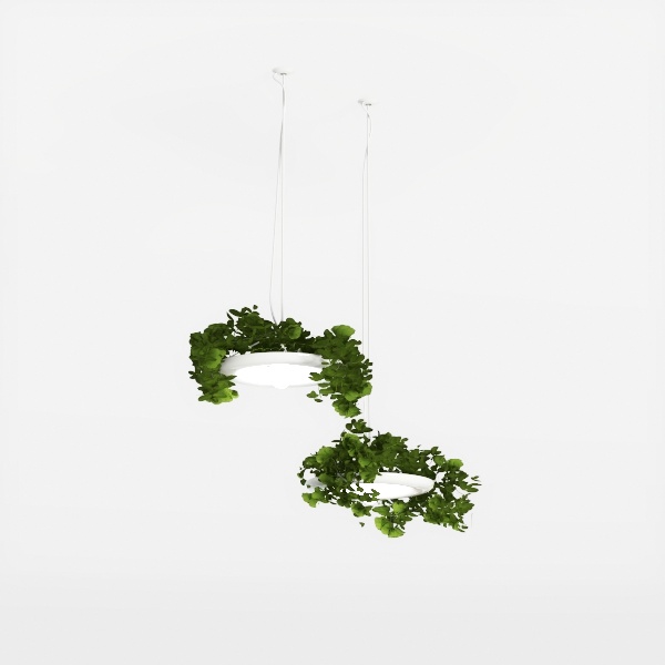 ceiling lamp-Champions Bar