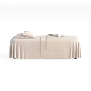 spa bed-Beauty SalonⅡ