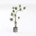 null Left 45 Degree View