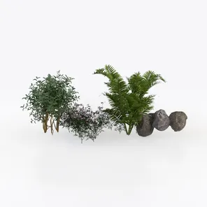 model review img 2