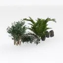 bushes-Landscape Greenery Right 45 Degree View