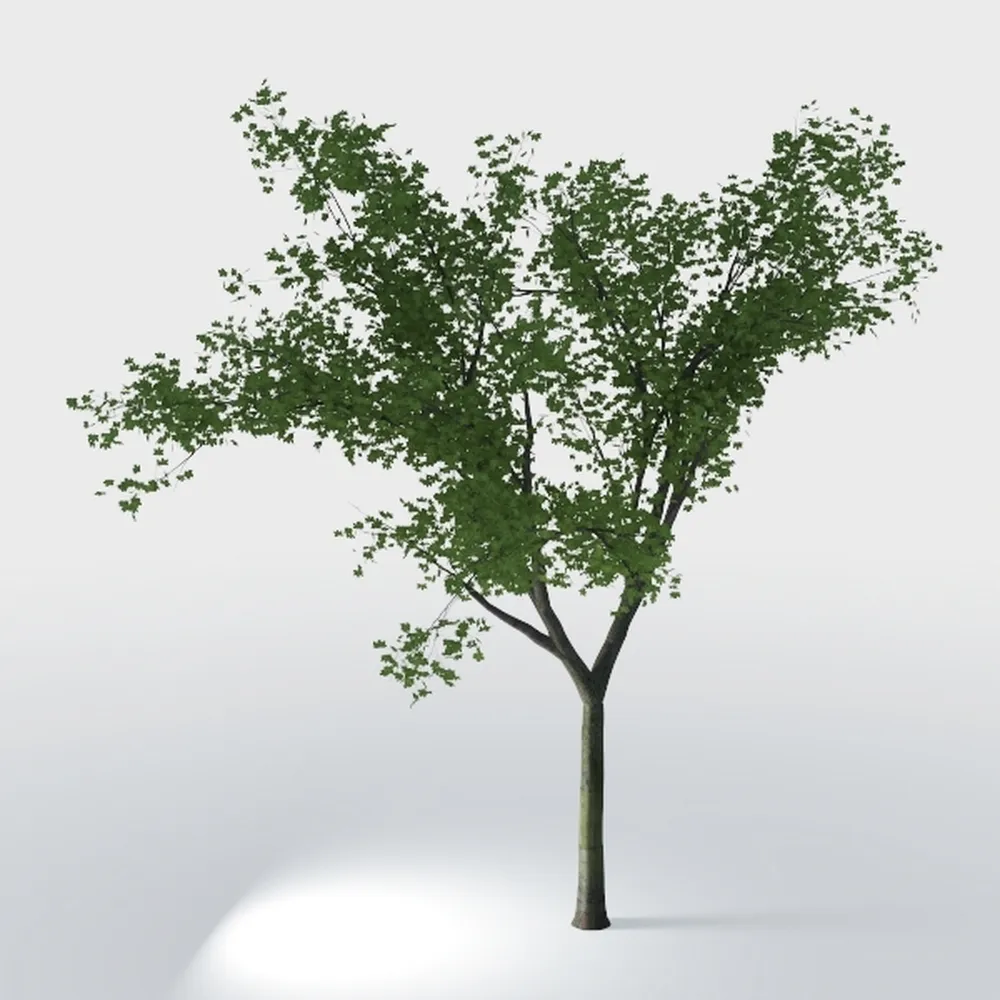 Olive Trees Artificial Indoor, 7FT Realistic 