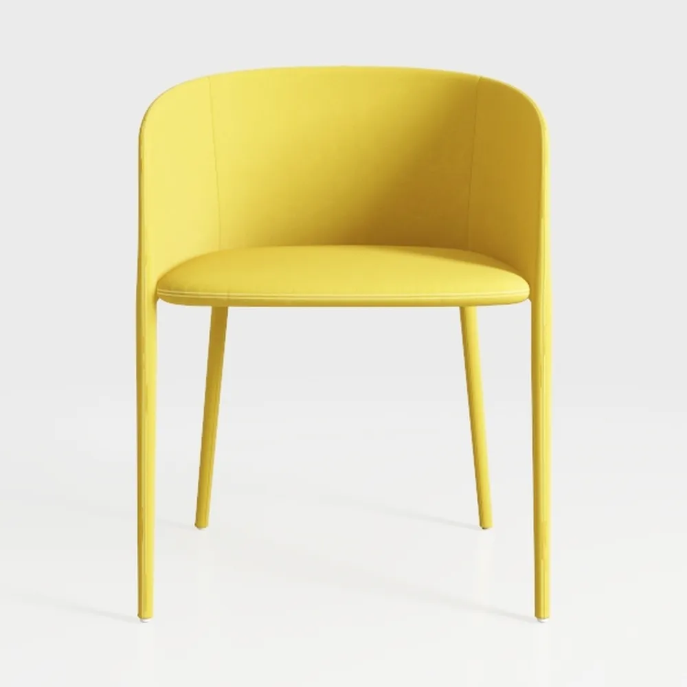 chairus Modern Dining Chair Unique Velvet Barrel