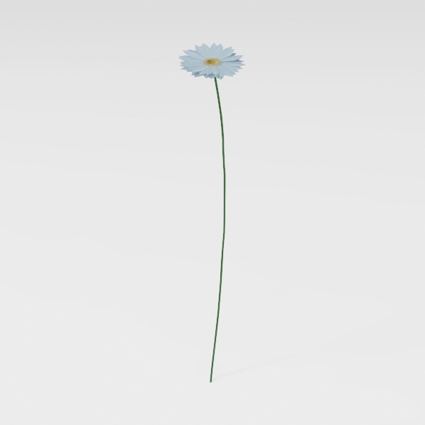 flower-Fluttering Blooms