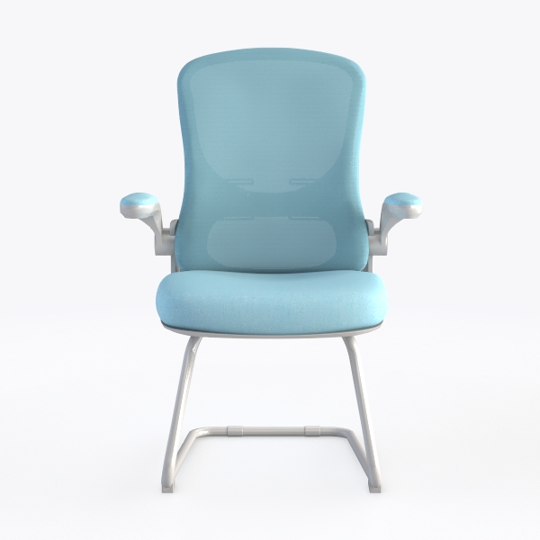 Office Chair,E-Sports Game Home Live Broadcast Erg