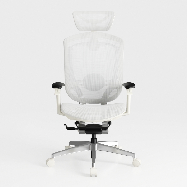 Ergonomic Office Chair Home Office Desk Chair Doub