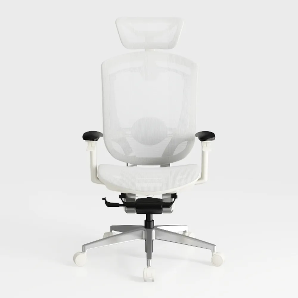 Ergonomic Office Chair Home Office Desk Chair Doub