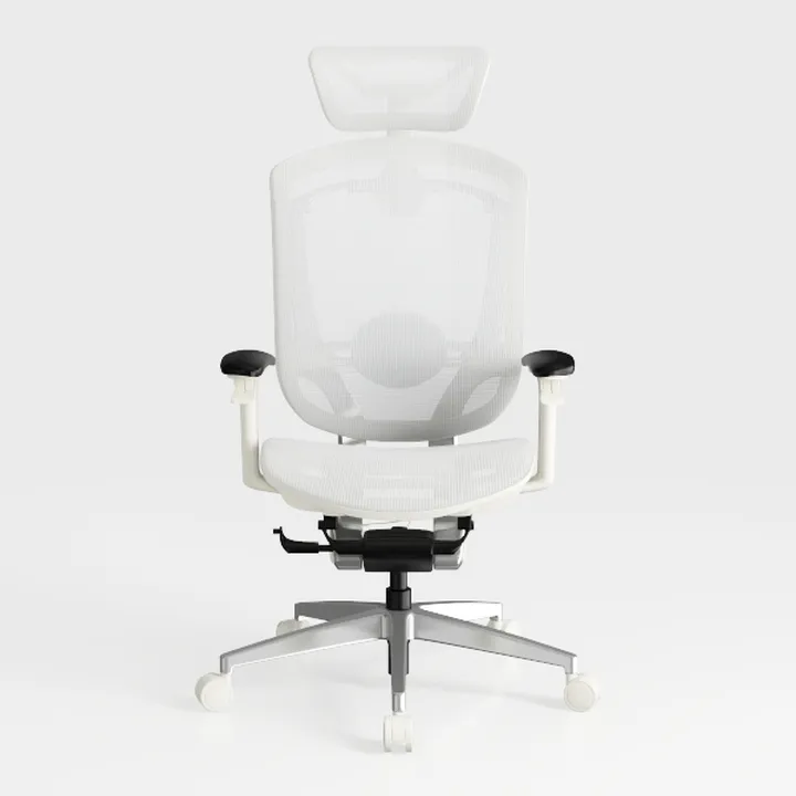 Ergonomic Office Chair Home Office Desk Chair Doub