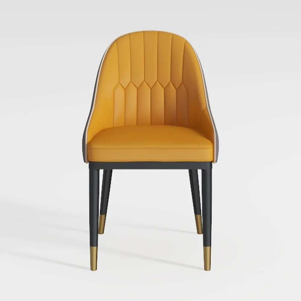 Dining Room Furniture Modern Dining Chairs Set of