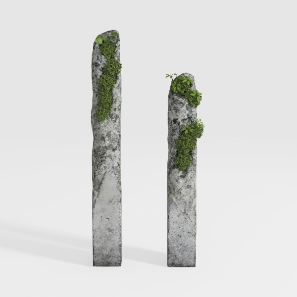 plant column-Saint Patrick&#39;s Day